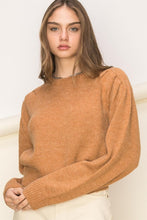 Load image into Gallery viewer, Delightful Demeanor Long Sleeve Sweater